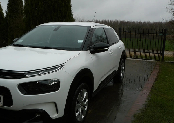 Citroen C4 Cactus cena 53000 przebieg: 48300, rok produkcji 2018 z Warszawa małe 79